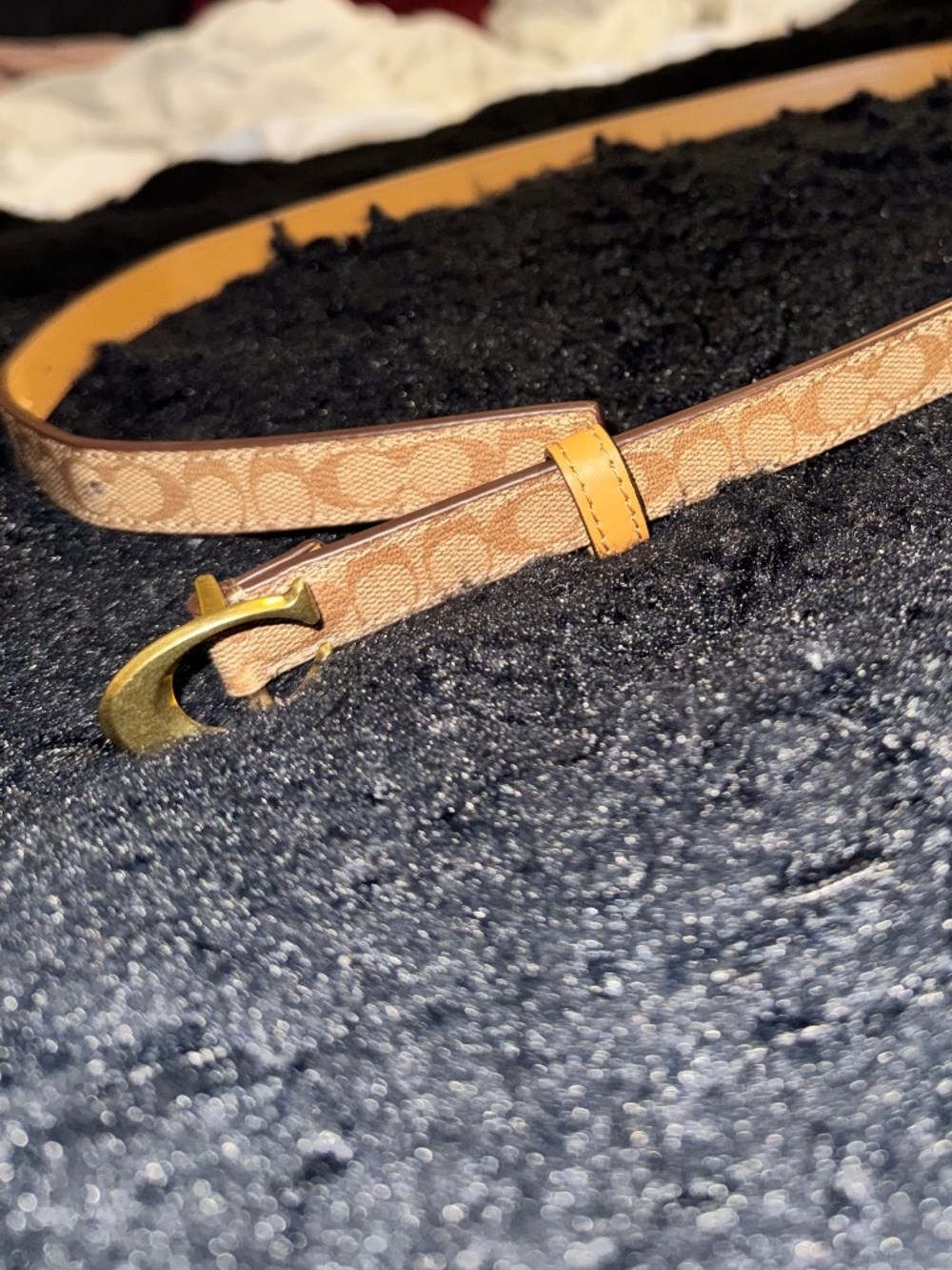 Coach Signature Belt